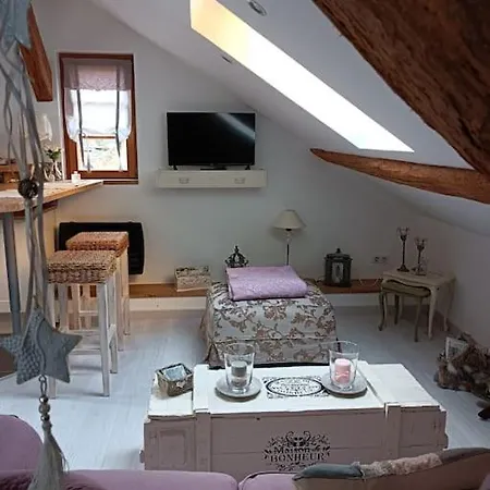 Apartment Loft De Charme 4 Etoiles Confort De Gamme Garage Privatif *