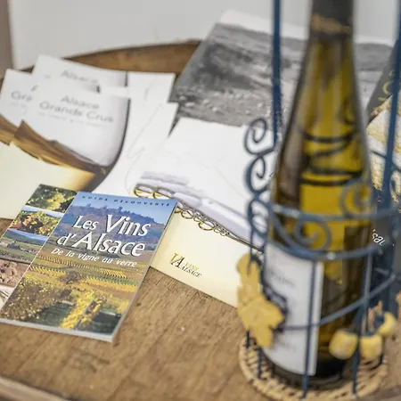 Apartament Loft De Charme 4 Etoiles Confort De Gamme Garage Privatif *